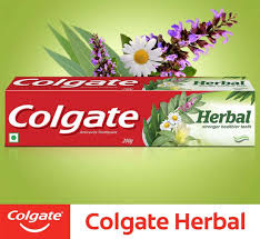 Colgate Herbal Toothpaste, 100 gm